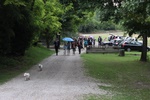 img_8045.jpg